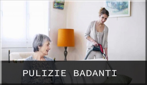 Categorie Servizi Pulizie Badanti